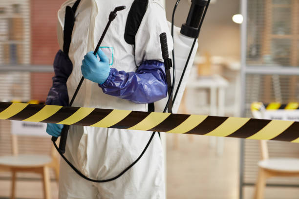 Professional Hoarding Cleanup technician working in Hampton, MD